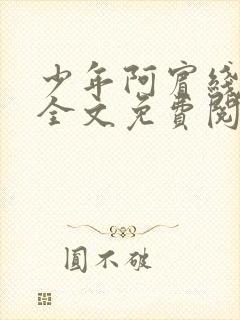 少年阿宾线阅读全文免费阅读最新