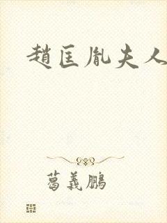 赵匡胤夫人是谁封面