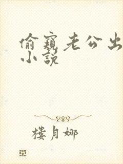 偷窥老公出轨h小说封面