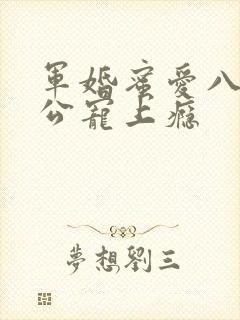 军婚蜜爱八零老公宠上瘾