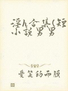 淫h合集(短篇小说男男封面