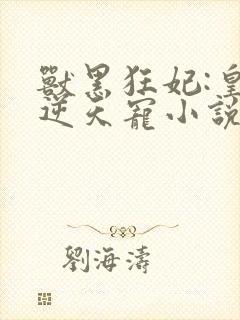 兽黑狂妃:皇叔逆天宠小说看