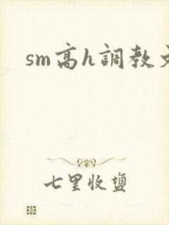 sm高h调教文