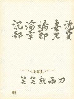 沉沦娇妻沈丹全部章节免费阅读