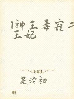 l神王毒宠二嫁王妃
