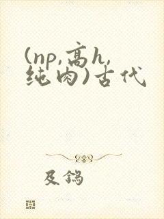 (np,高h,纯肉)古代