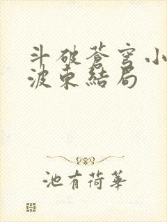 斗破苍穹小说海波东结局封面