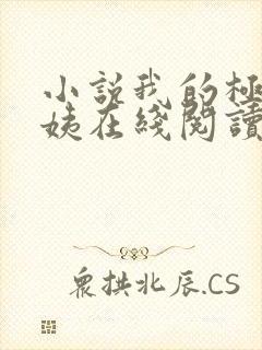 小说我的极品小姨在线阅读