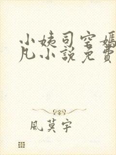 小姨司空嫣然叶凡小说免费阅读全文封面