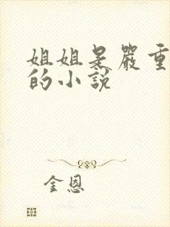 姐姐是严重弟控的小说