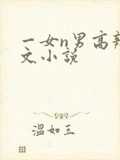 一女n男高辣h文小说