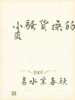 小骚货操的爽不爽