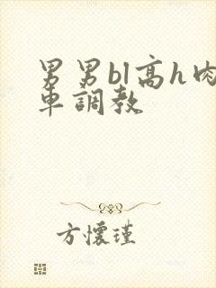 男男bl高h肉车调教封面