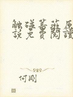 触碰蔷薇原著小说免费阅读封面