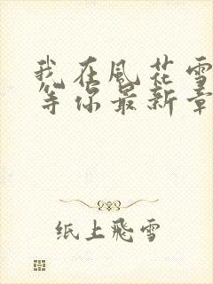 我在风花雪月里等你最新章节新