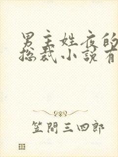 男主姓夜的霸道总裁小说有