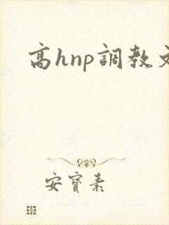 高hnp调教文封面