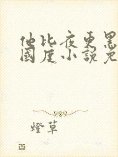 他比夜更黑无罪国度小说免费全文阅读