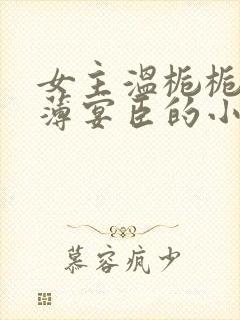 女主温栀栀男主薄宴臣的小说封面