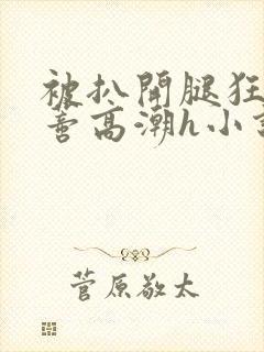 被扒开腿狂揉花蒂高潮h小说