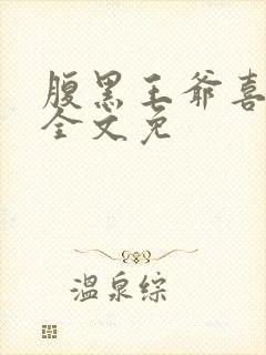 腹黑王爷喜当爹全文免封面