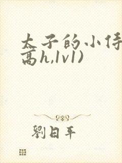 太子的小侍妾(高h,1v1)封面