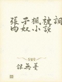 张子枫被调教成肉奴小说封面