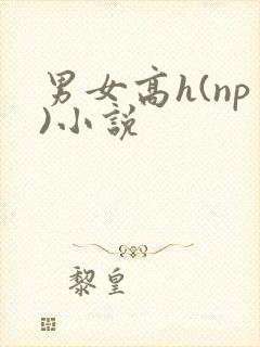 男女高h(np)小说