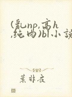 (乱np,高h,纯肉)bl小说