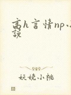 高h言情np小说