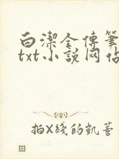 白洁全传笔趣阁txt小说网站在线阅读