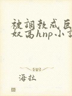 被调教成巨乳奶奴高hnp小说封面