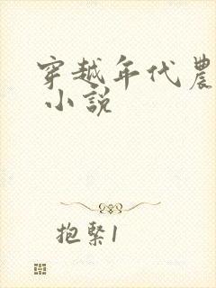 穿越年代农家女 小说