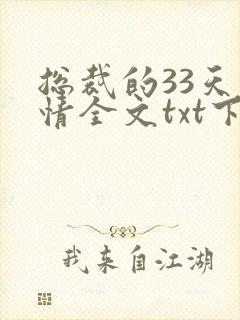 总裁的33天索情全文txt下载