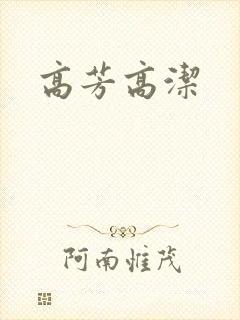 高芳高洁封面
