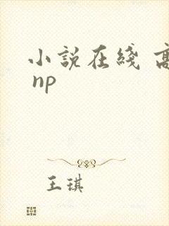 小说在线 高h np
