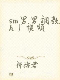 sm男男调教〈h丿视频