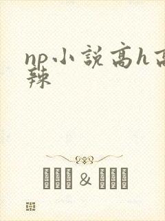 np小说高h高辣