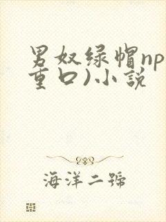 男奴绿帽np(重口)小说封面