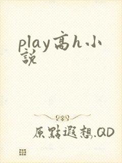 play高h小说