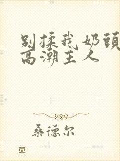 别揉我奶头嗯啊高潮主人