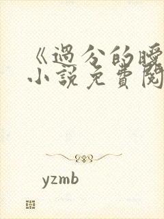 《过分的暧昧》小说免费阅读全文