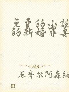 免费的小说总裁的新婚罪妻封面