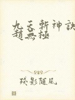 九天斩神诀林辰赵无极