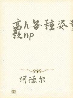 高h各种姿势调教np