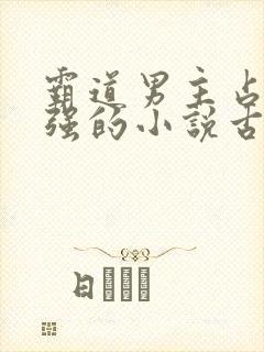 霸道男主占有欲强的小说古言