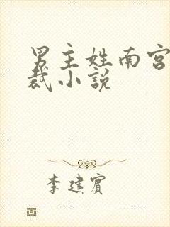 男主姓南宫的总裁小说