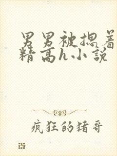 男男被摁着灌浓精高h小说封面