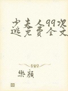 少夫人99次出逃免费全文阅读封面