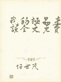 我的极品老婆小说全文免费阅读